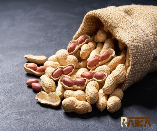 Buy and price of raw peanut for pregnant