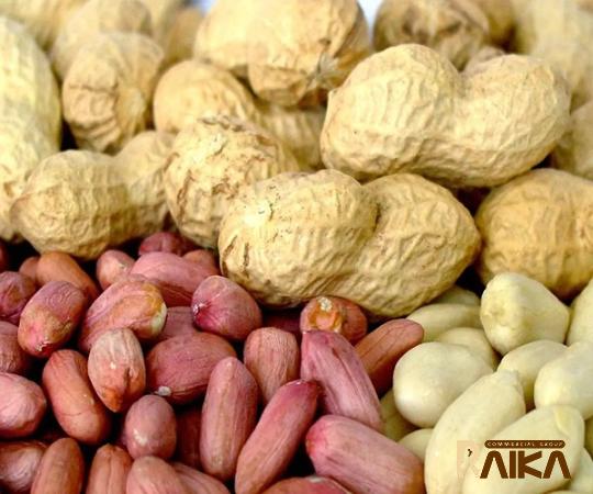 Buy fresh peanut | Selling all types of fresh peanut at a reasonable price