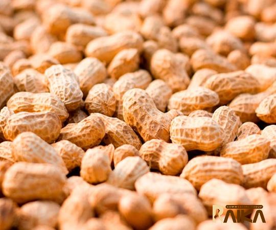 Buy valencia peanut | Selling all types of valencia peanut at a reasonable price