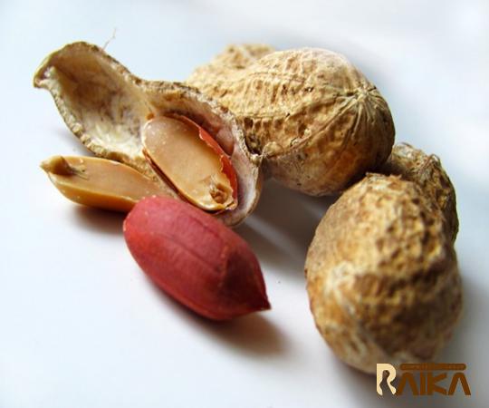 Purchase and today price of organic raw peanut