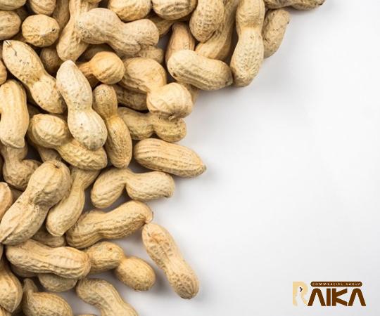 Buy the latest types of valencia peanuts in shell