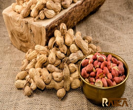 The best price to buy cheap fresh peanut anywhere