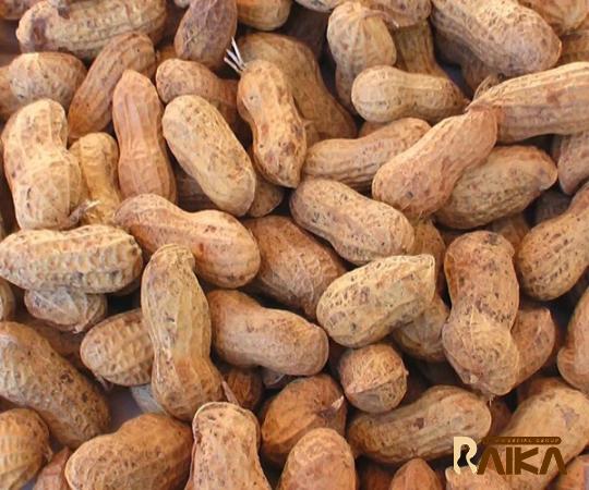 The best price to buy valencia green peanuts anywhere