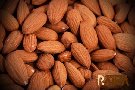 farm peanut price list wholesale and economical