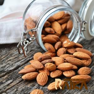 raw peanuts healthy or not price list wholesale and economical