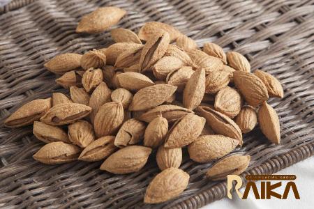 roasted peanuts in french price list wholesale and economical