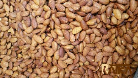 farm direct peanuts price list wholesale and economical