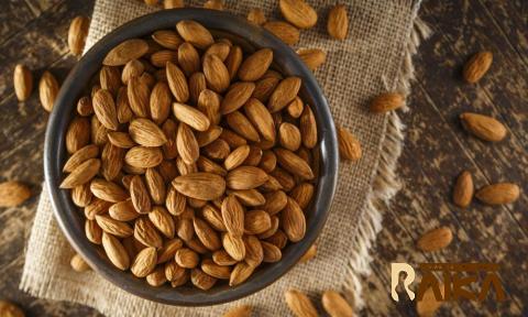 perfect roasted peanuts price list wholesale and economical
